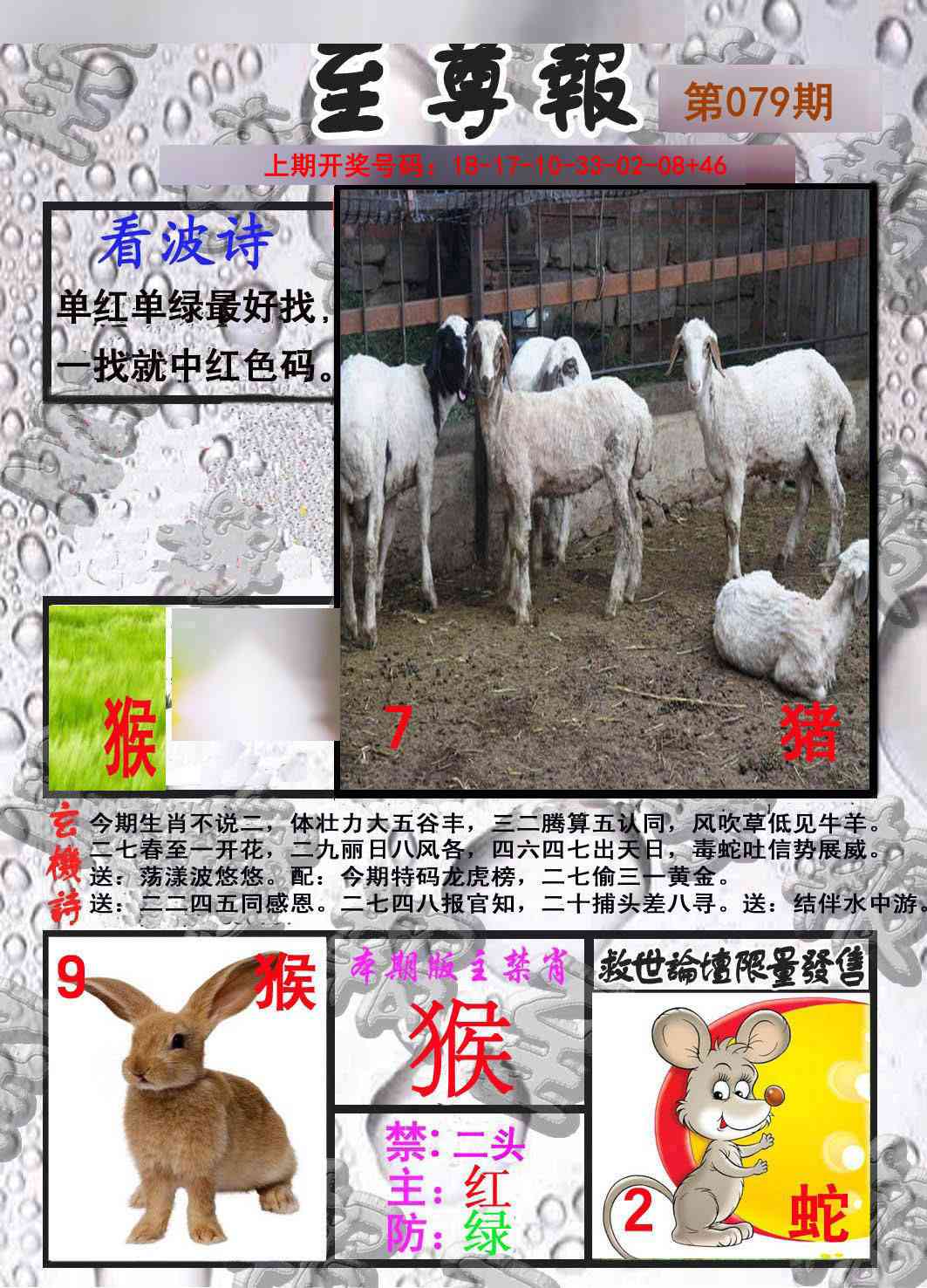 079期至尊报[图]